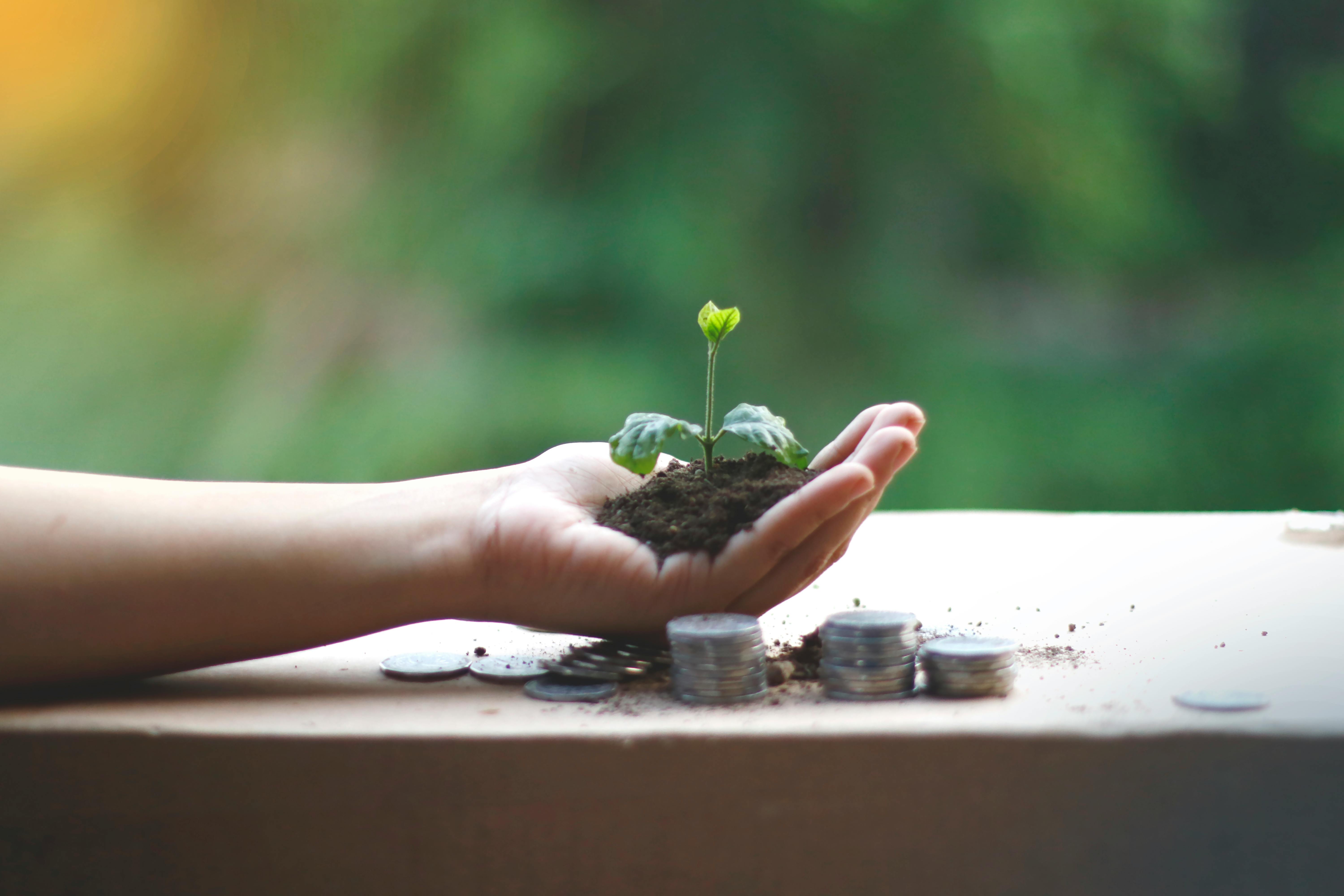 The ESG disclosure framework-based performance analysis using CRISIL Rating